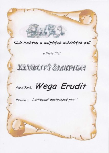 ze Žďárských lesů